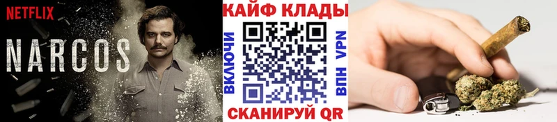 Купить наркотики цена Павловский Посад A PVP  Псилоцибиновые грибы  Бошки Шишки  ГАШ 