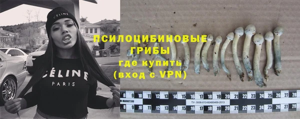 прущие крисы Алексеевка