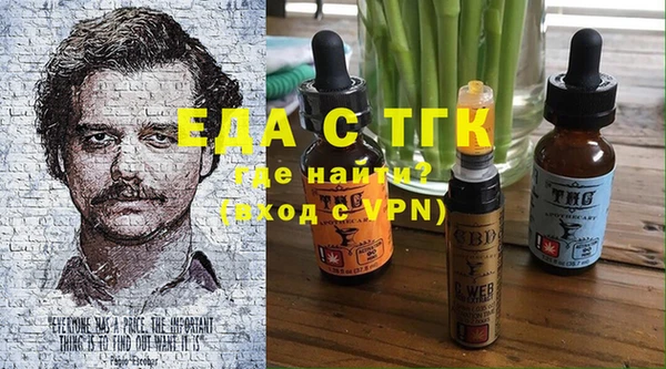 ECSTASY Алзамай