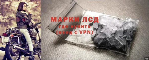 ECSTASY Алзамай