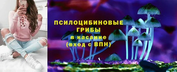 прущие крисы Алексеевка
