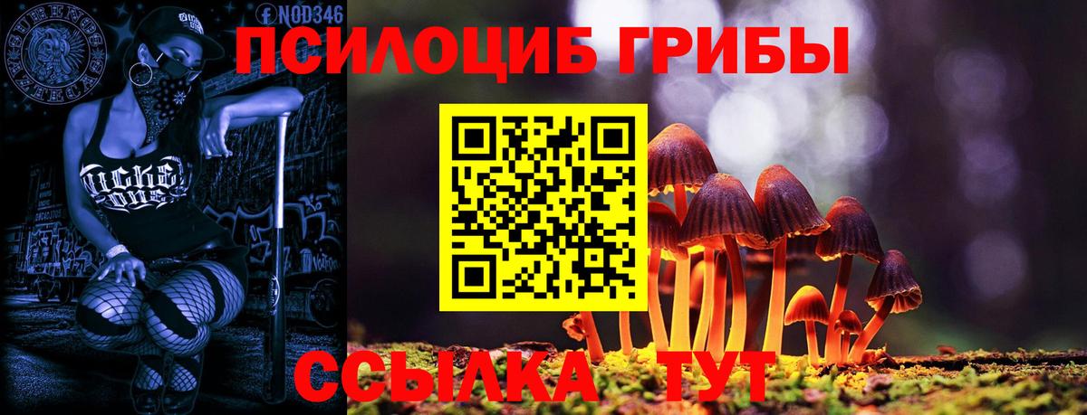 Псилоцибиновые грибы MAGIC MUSHROOMS  Псилоцибиновые грибы Cubensis  Вход с VPN  Павловский Посад 
